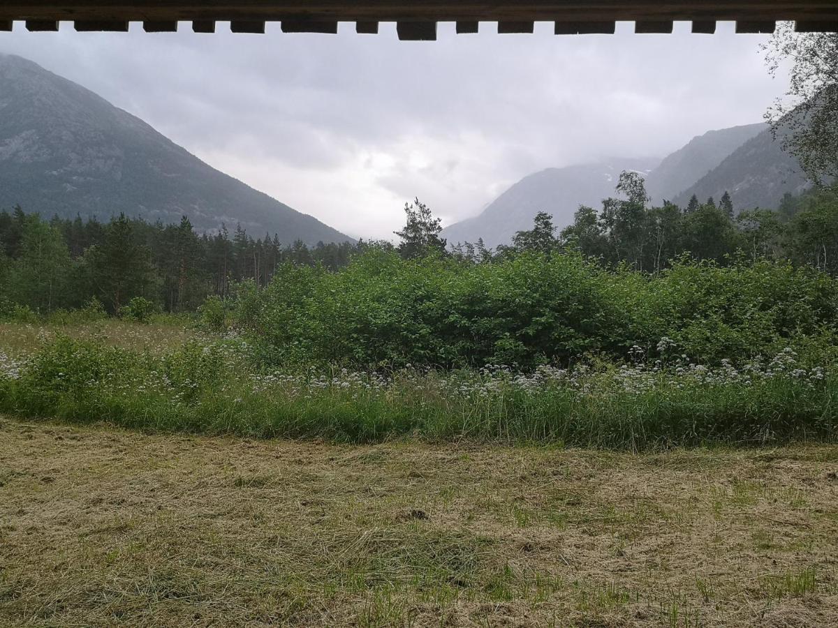 Kinsarvik Hostel المظهر الخارجي الصورة