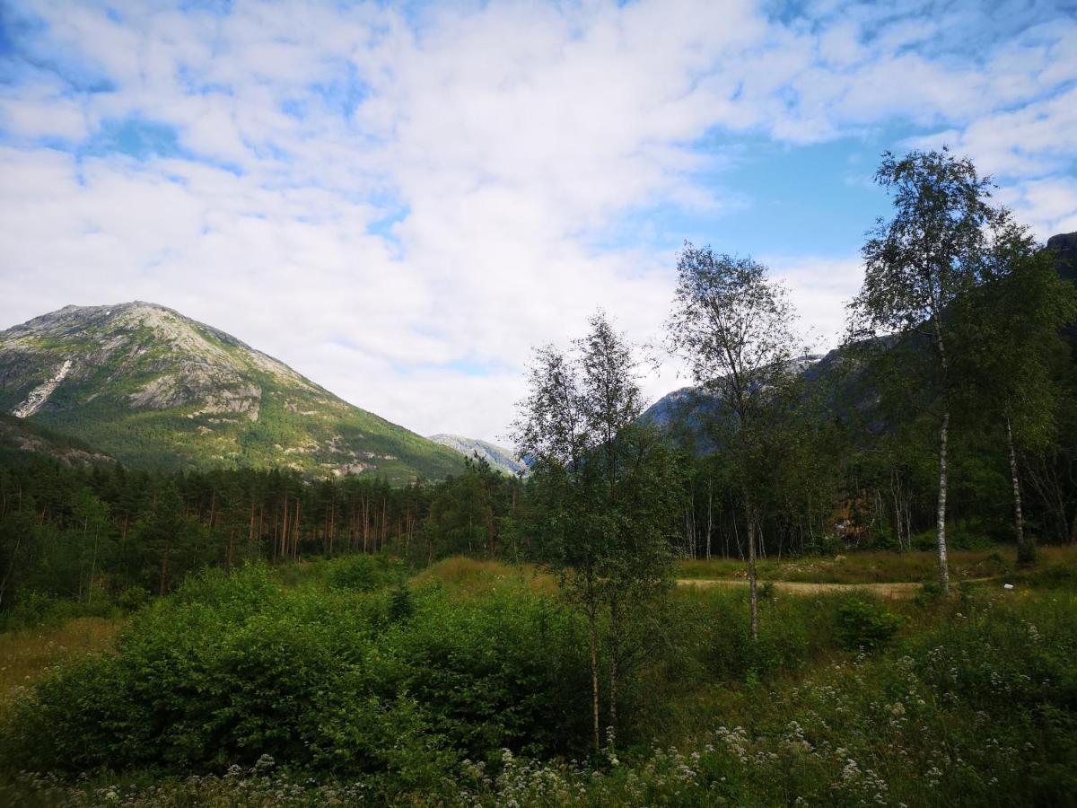 Kinsarvik Hostel المظهر الخارجي الصورة